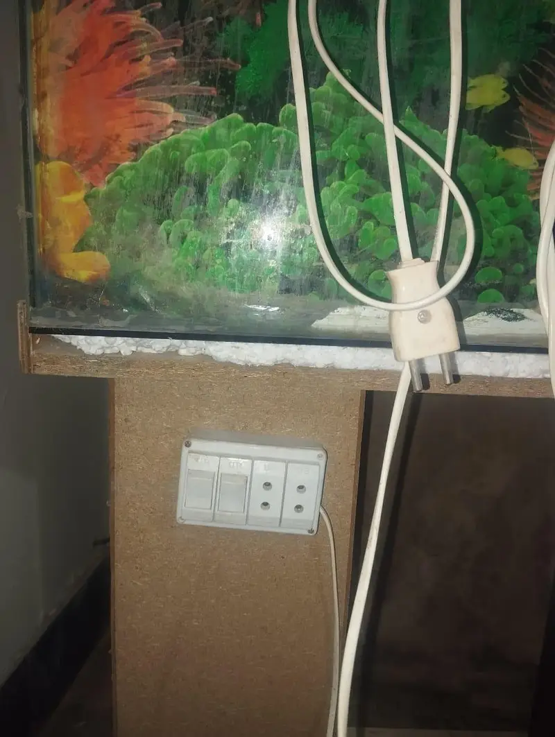 aquarium — photo 3