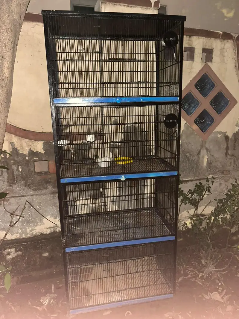 cages — photo 3