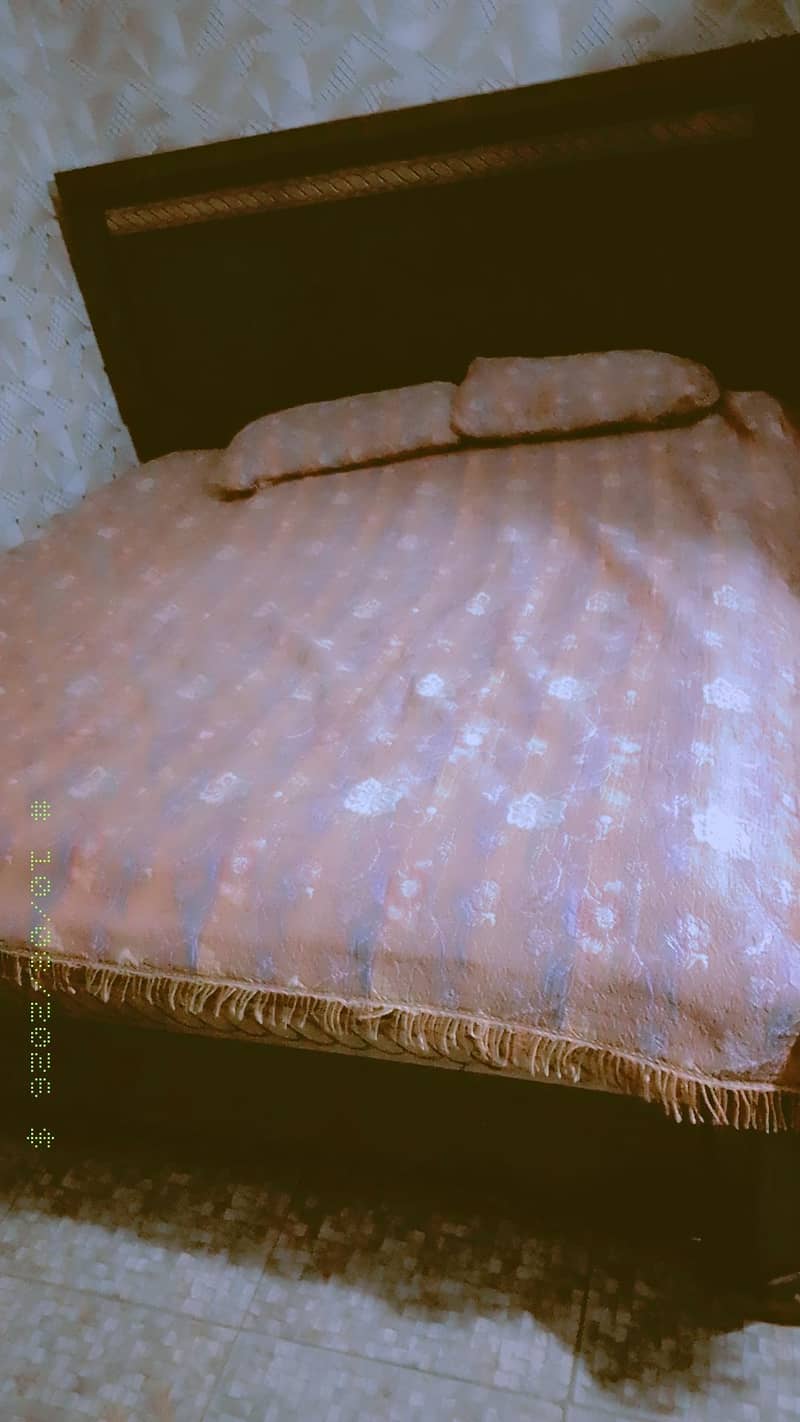 single bed molty form 1