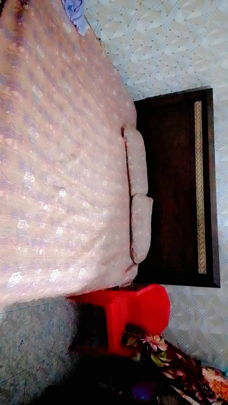 single bed molty form 2