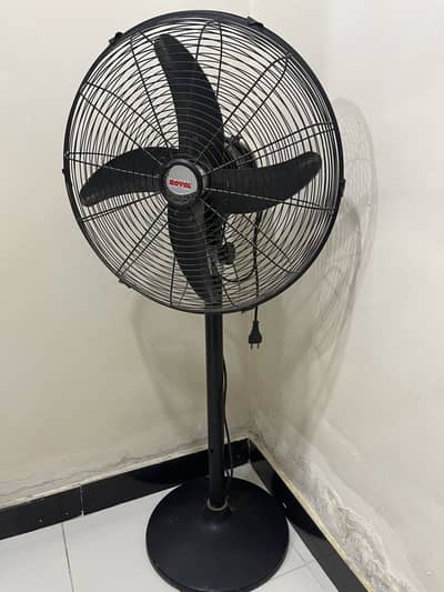 Royal Stand Fan for sale