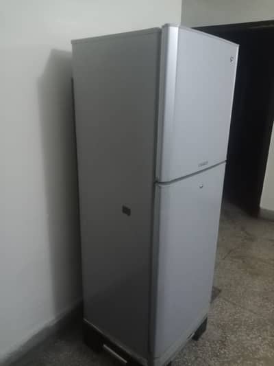 pel company  what ap number 03705742019