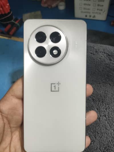 One Plus 13R
