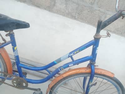 cycle