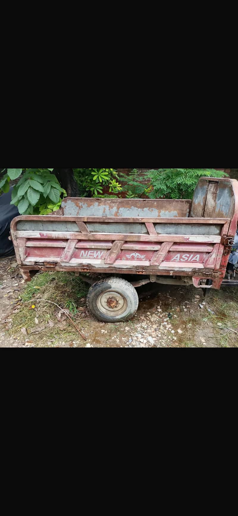 Loader rickshaw 100cc loaderrr 1