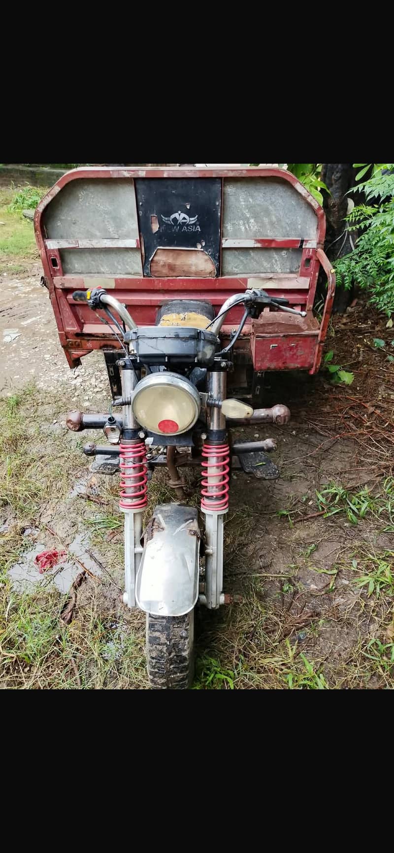 Loader rickshaw 100cc loaderrr 3