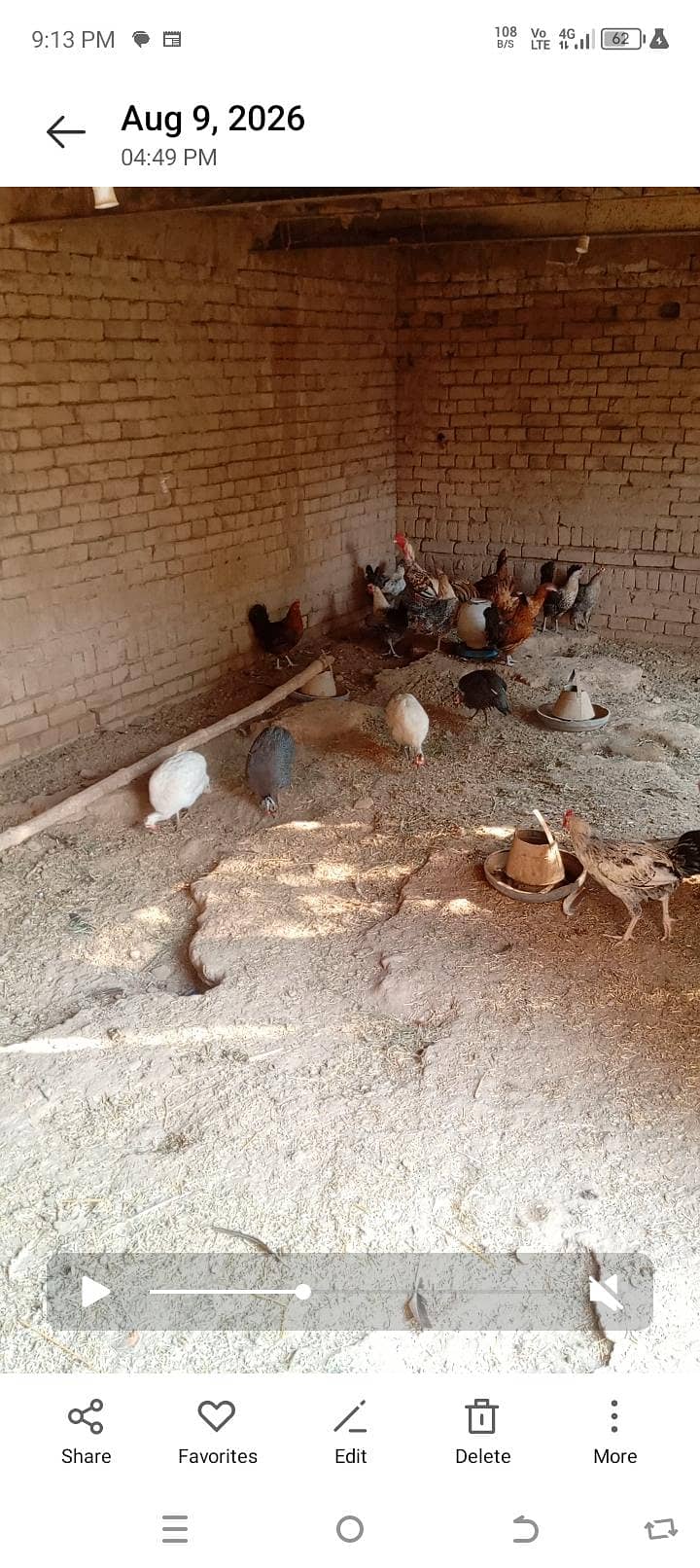 hens breader 0