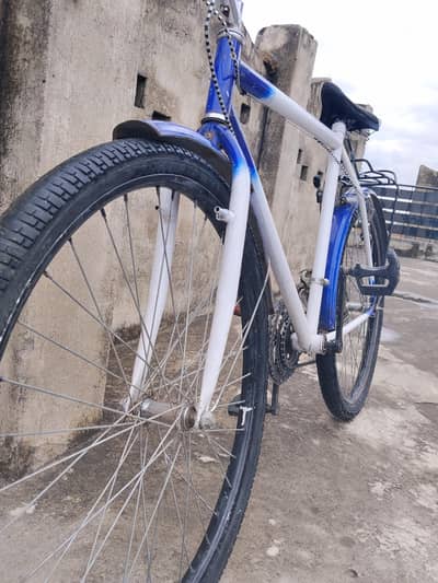 Phoenix cycle