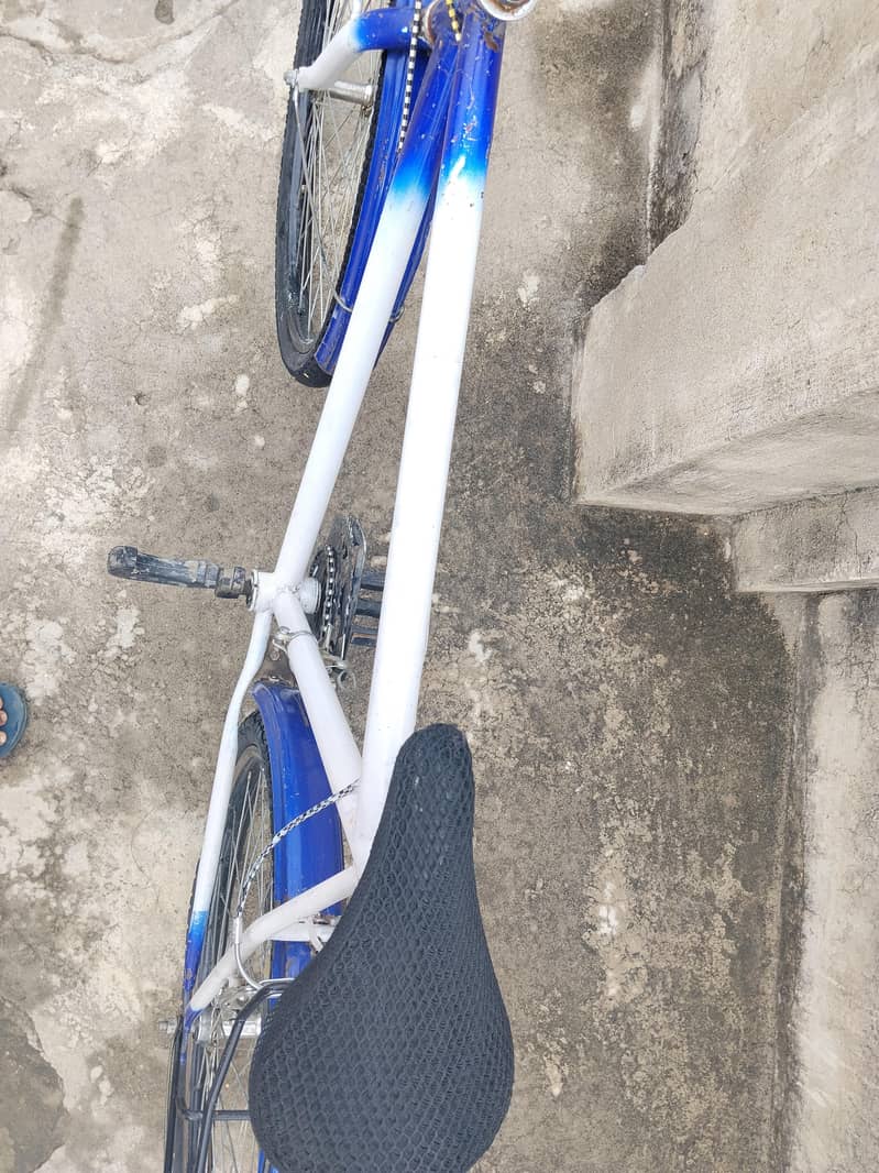 Phoenix cycle 4