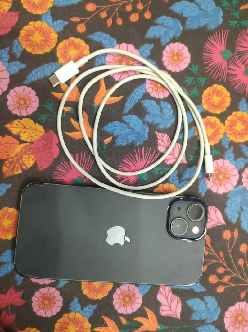 Apple iPhone 13 0