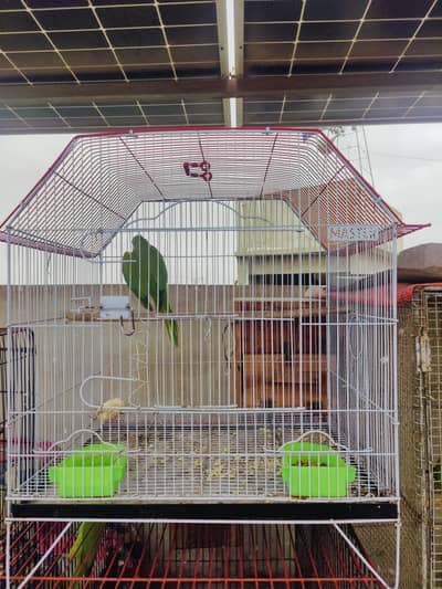 cage for birds, cage for parrot