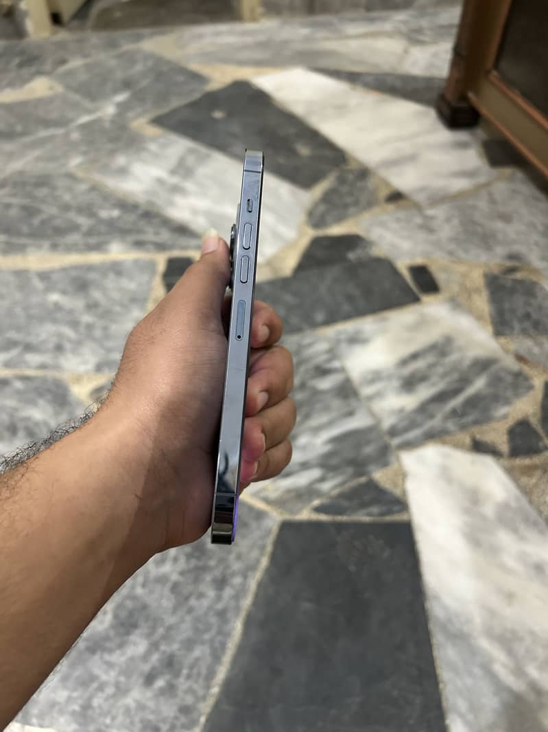 Apple iPhone 13 Pro Max 2