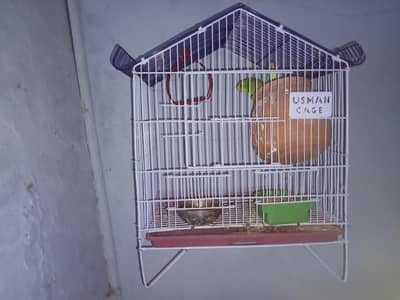 parraots with cage and matka sab ha isme cage bhi matka bhi total 3 th