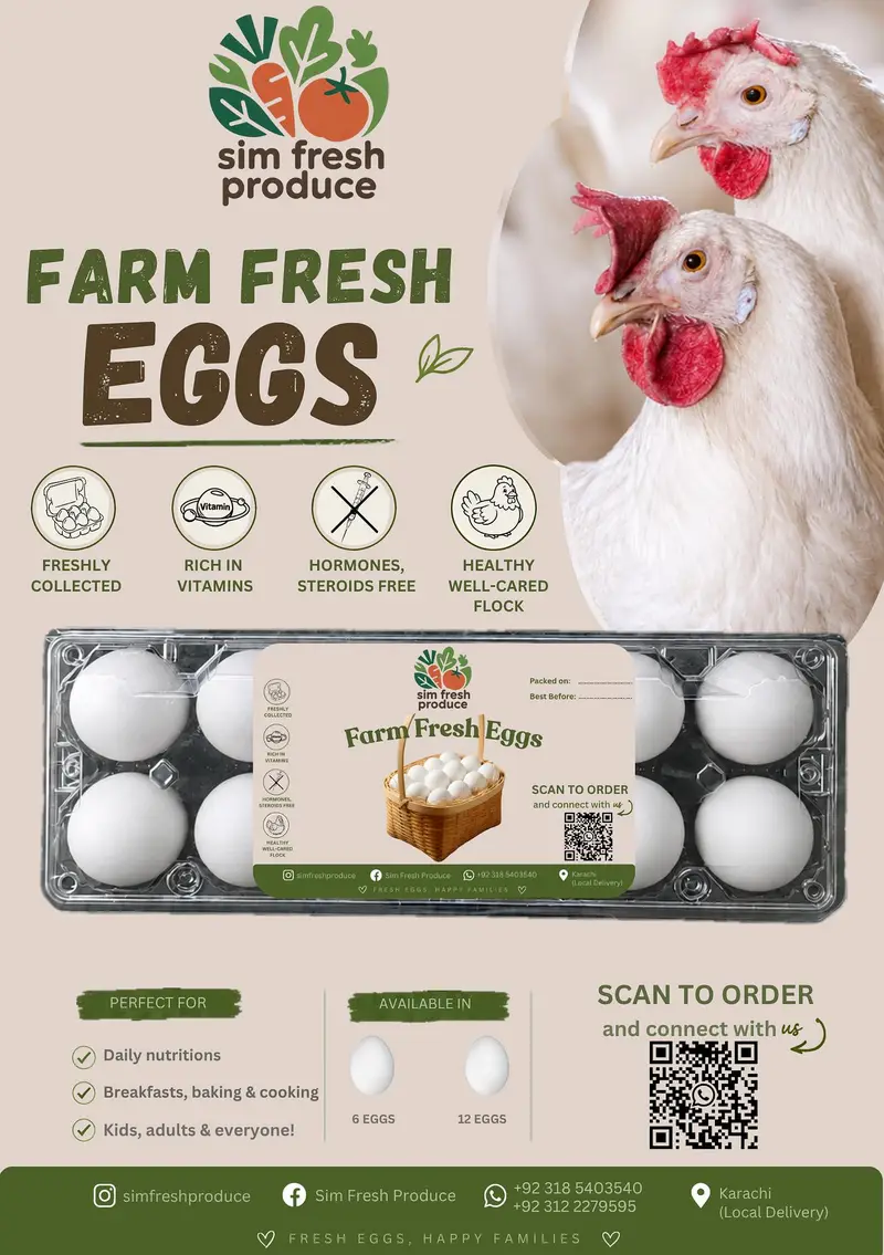 Lohmann Brown eggs | White layer eggs — photo 2