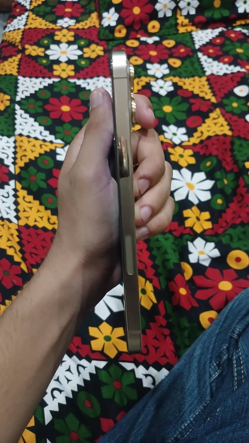 iphone 12 pro max 1