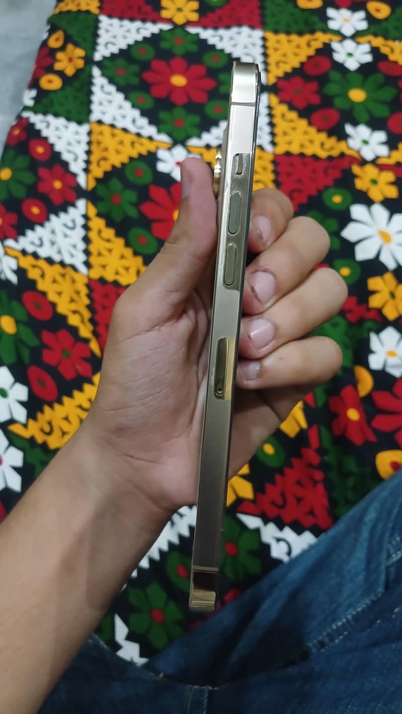 iphone 12 pro max 2