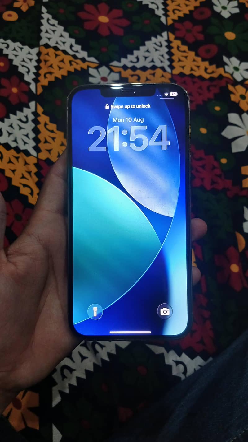 iphone 12 pro max 4