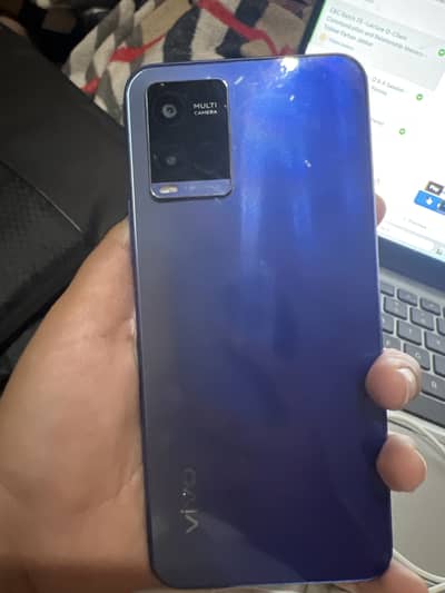 Lavivo y21