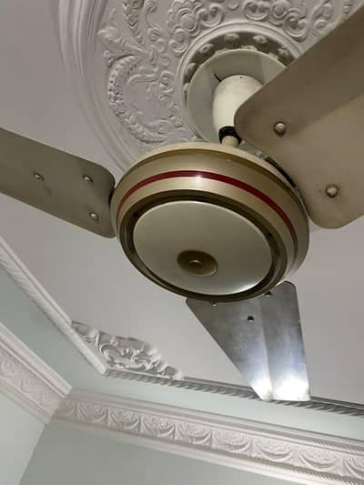 GFC Ceiling fan for sale
