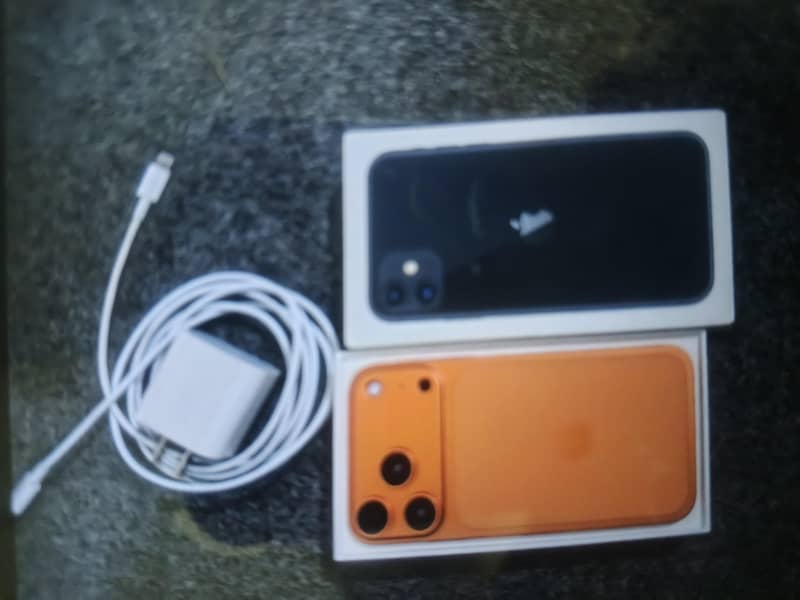 iphone 11 0