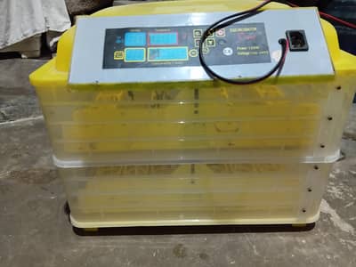 Egg Incubator
