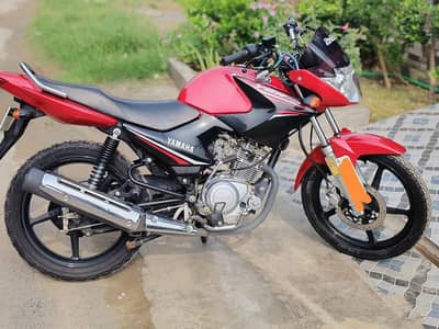 YBR125