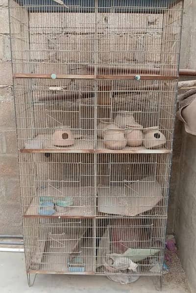 8 portion cage