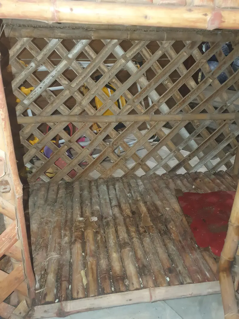 Bamboo Cage — photo 2