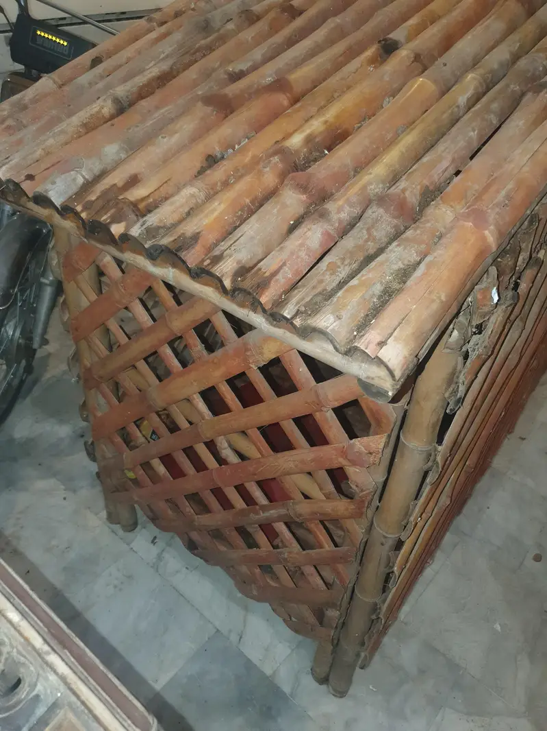 Bamboo Cage — photo 3