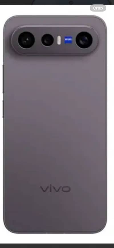 Vivo X300