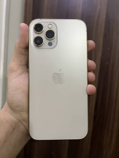 Apple iPhone 12 Pro Max