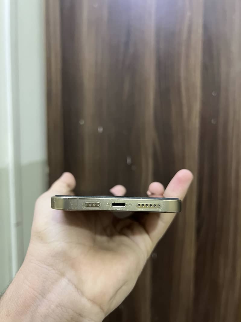 Apple iPhone 12 Pro Max 1