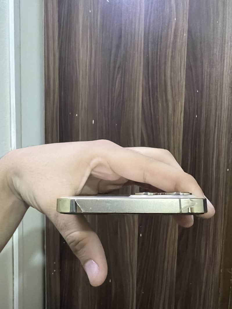 Apple iPhone 12 Pro Max 2