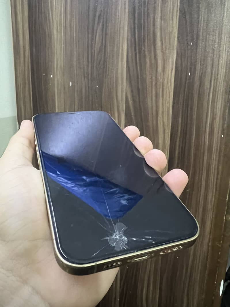 Apple iPhone 12 Pro Max 5