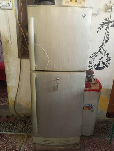Pell fridge medium size