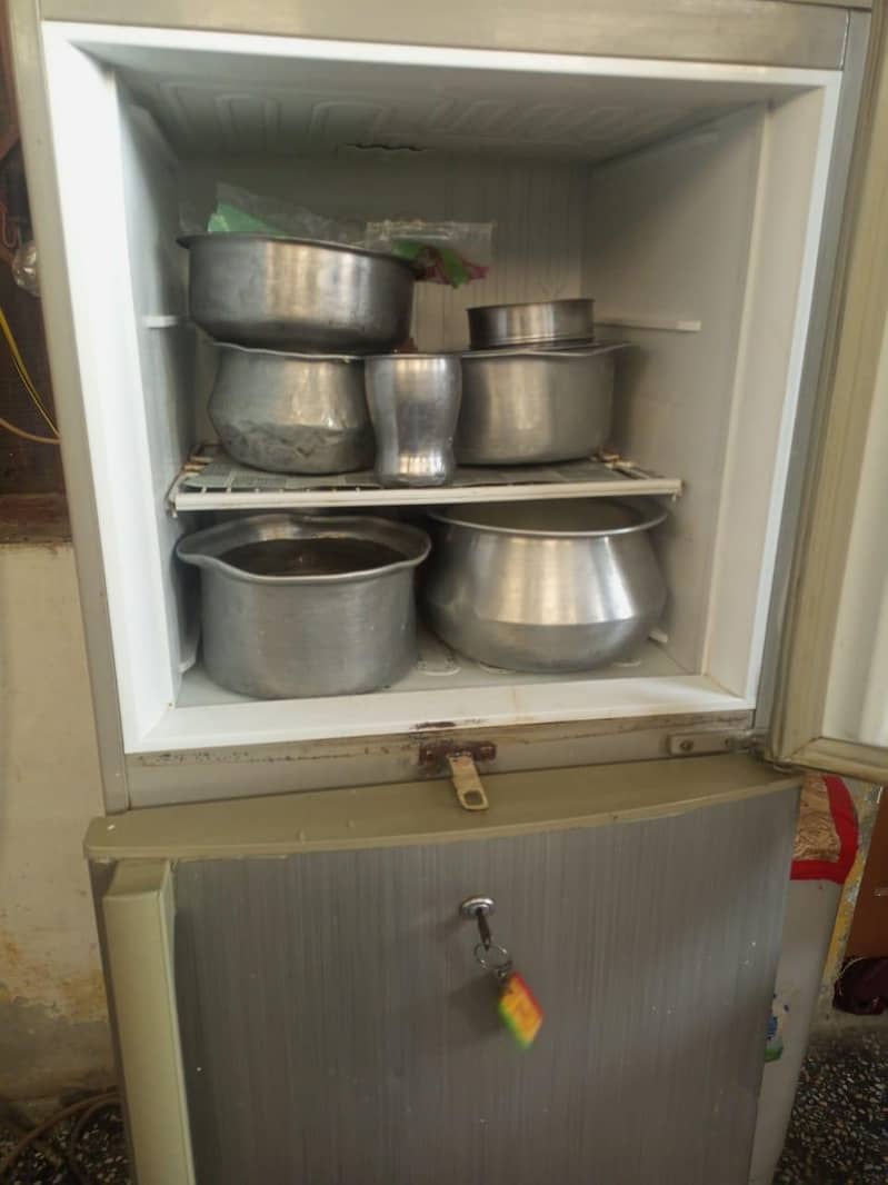 Pell fridge medium size 1