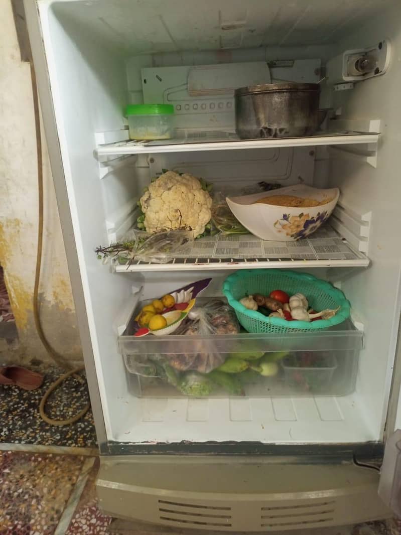 Pell fridge medium size 2