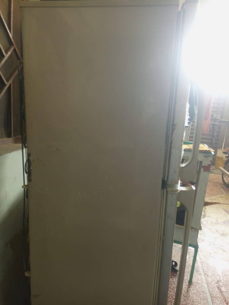 Pell fridge medium size 3