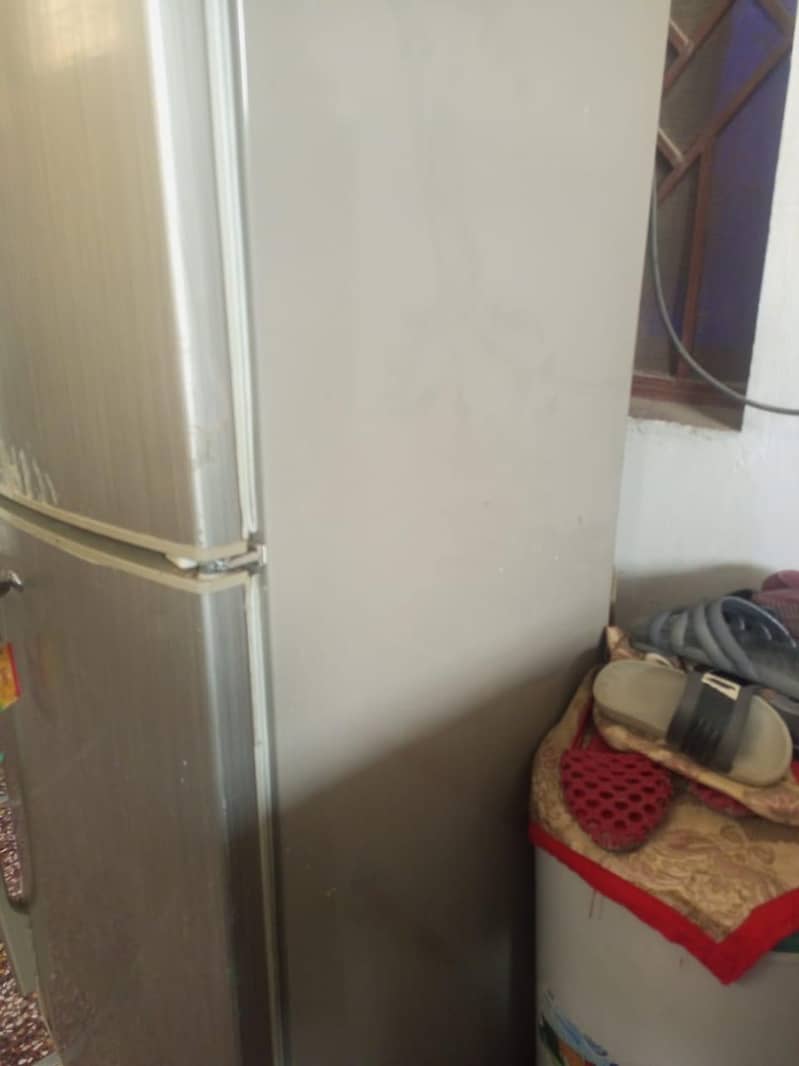 Pell fridge medium size 4