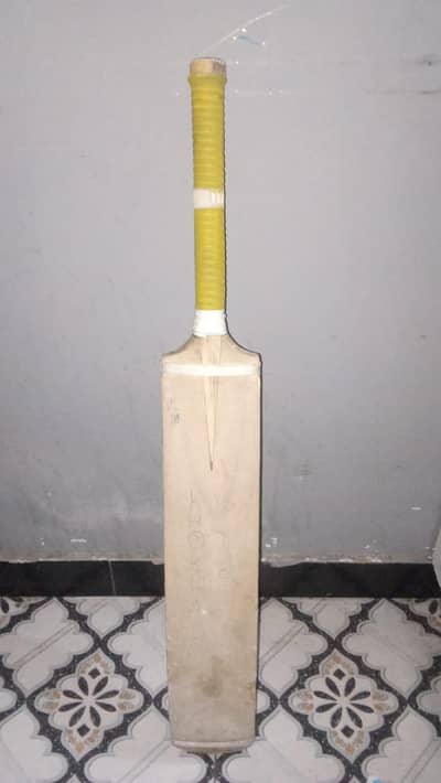 coconut bat