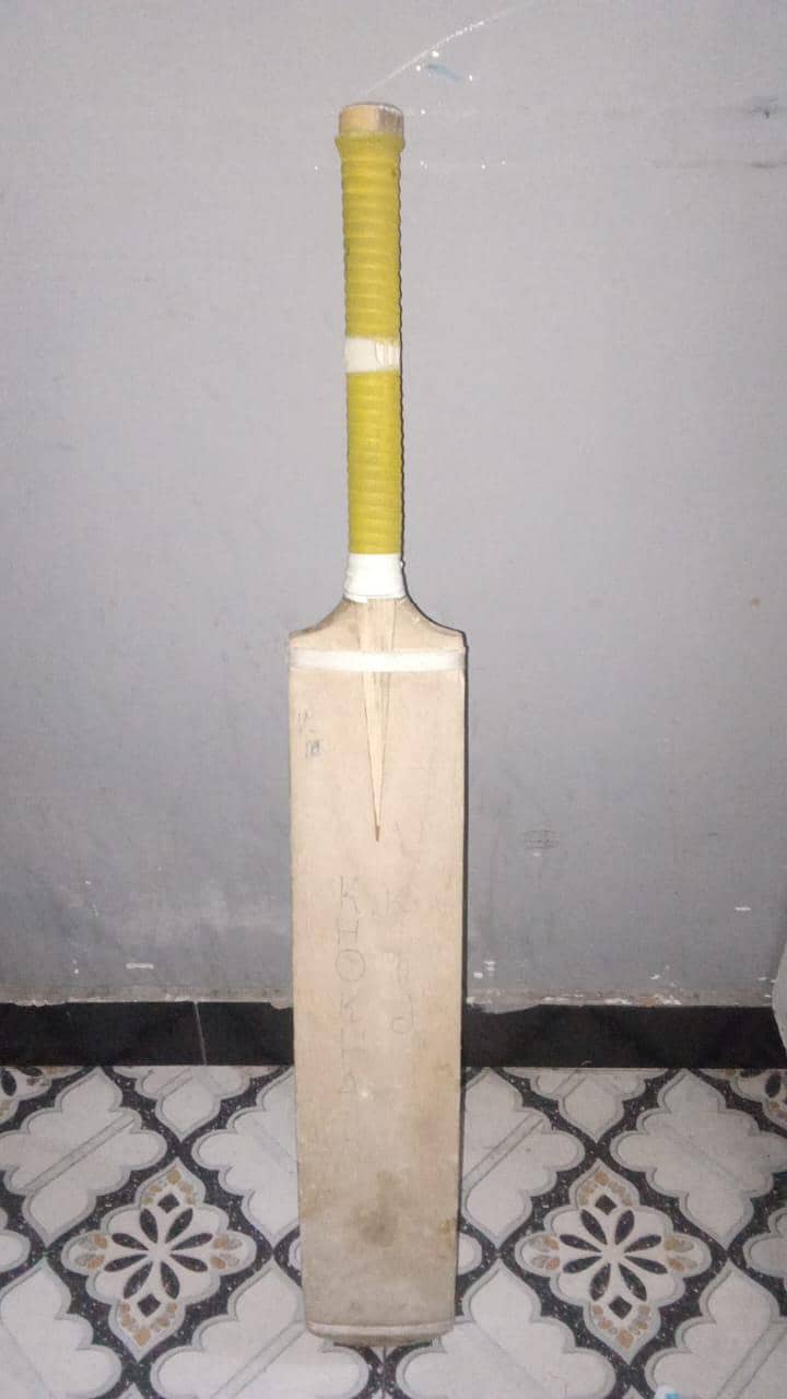 coconut bat 0
