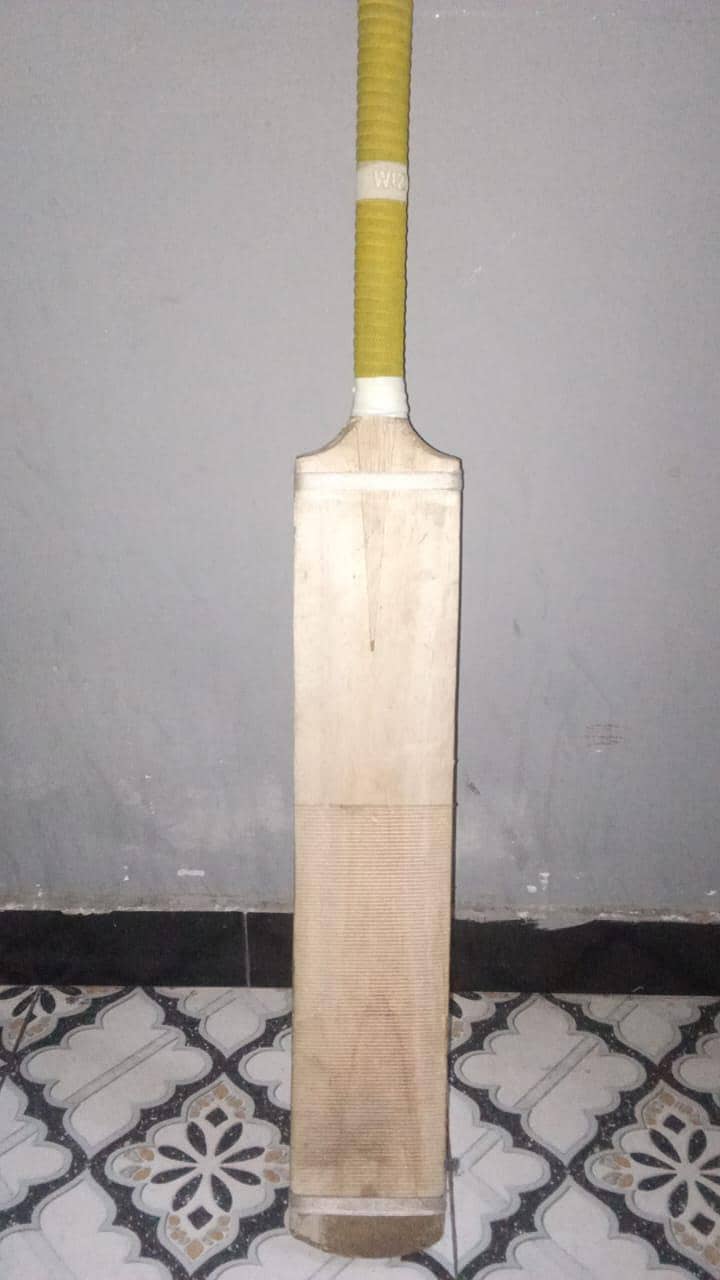 coconut bat 1
