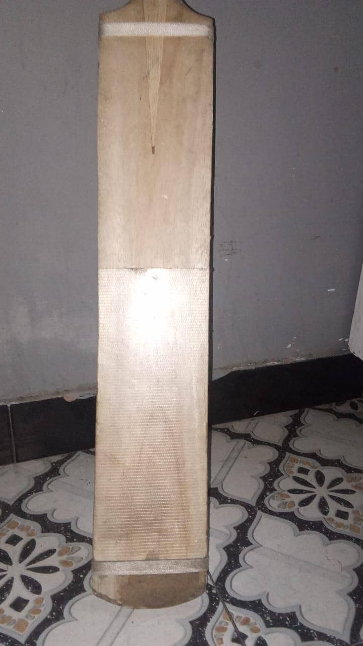 coconut bat 2