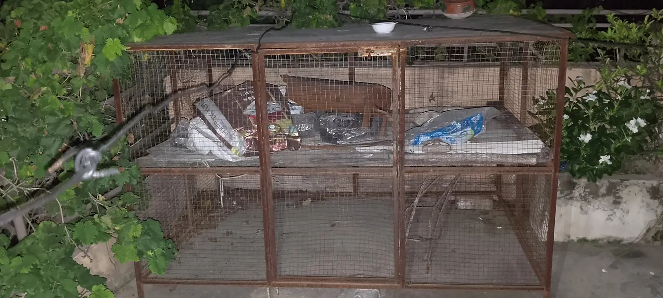 beautiful chicken cage — photo 2