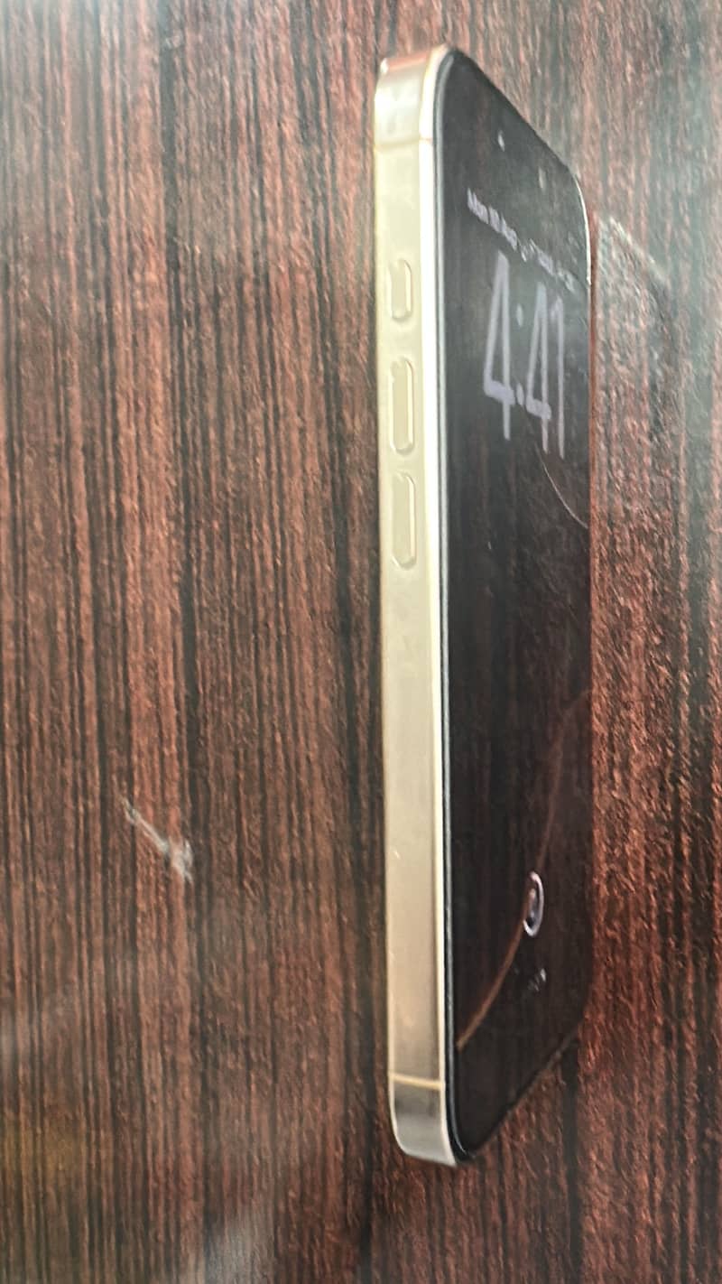 Apple iPhone 16 Pro 2