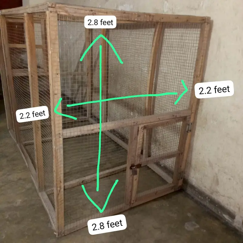 Aseel, Hen, Parrot All Type Of Birds Cage  2 Doors — photo 2