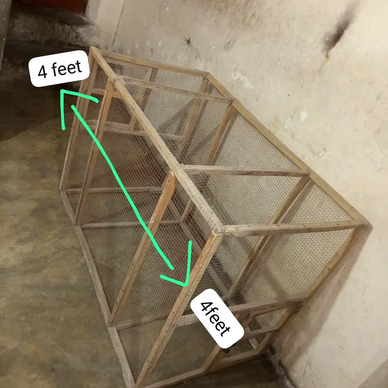 Aseel, Hen, Parrot All Type Of Birds Cage  2 Doors — photo 3