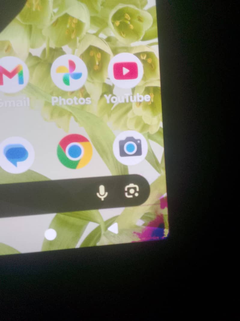 Google Pixel 6 2
