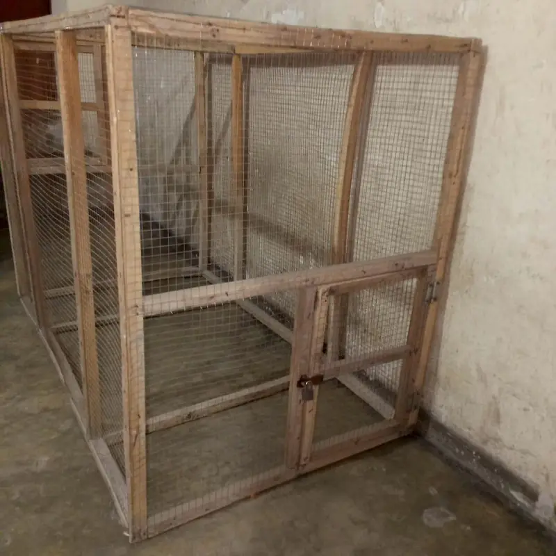 Aseel, Hen, Parrot All Type Of Birds Cage  2 Doors — photo 4