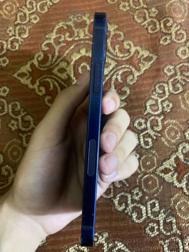 Apple iPhone 12 1